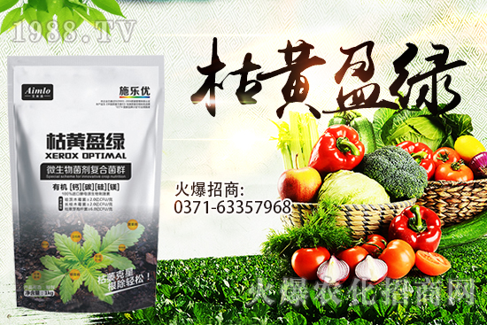 十月即將到來，麥價能漲多少？9月29日小麥價格走勢！