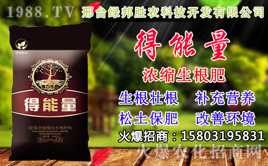 2020年小麥種子如何選？高產(chǎn)小麥品種有哪些？