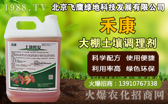 豬肚菇如何種植,豬肚菇栽培管理技術(shù)!