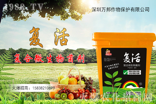 大棚油桃栽種后如何進(jìn)行管理，有什么方法要點(diǎn)？