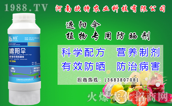 馬鈴薯可以和那些作物套種？馬鈴薯套種模式有什么好處？