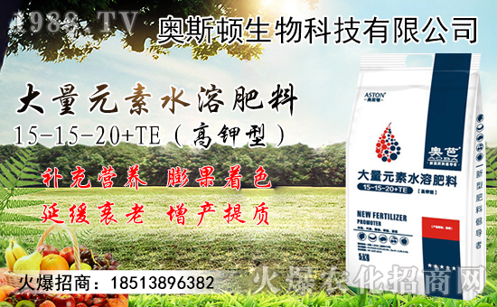 小麥價格行情能上漲多少?附今日新小麥價格