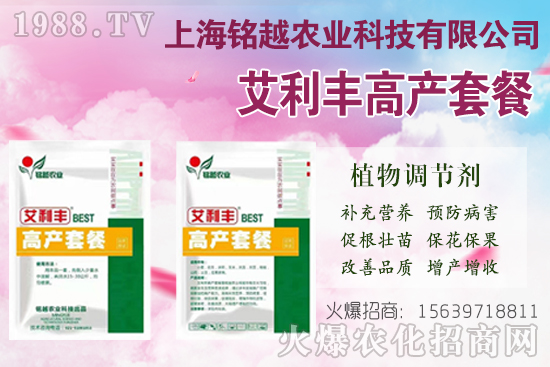 棉花吐絮是什么季節(jié)？常出現(xiàn)問題有哪些？棉花吐絮期管理要點！