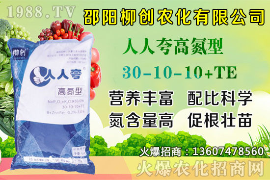 金銀花樹苗怎么種？金銀花樹苗種植技術(shù)及田間管理！