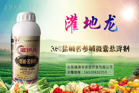 �׾S���x�����x���r(ji��)���߄�2021��1��12��