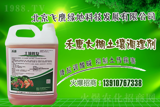 紫皮大蒜怎么種植？紫皮大蒜高產(chǎn)栽培技術(shù)！