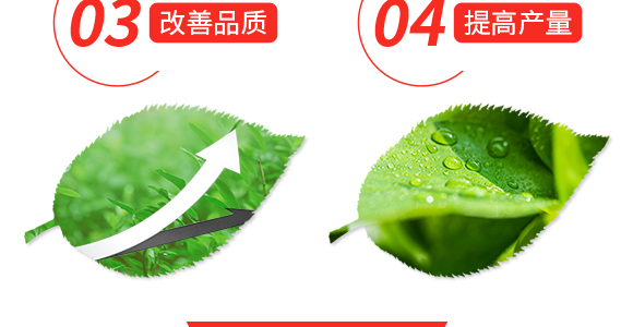 硝硫基大量元素水溶肥料20-20-20+TE-凱米拉-農博肥業(yè)_05