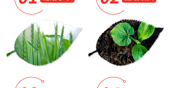 硝硫基大量元素水溶肥料20-20-20+TE-凱米拉-農博肥業(yè)_04