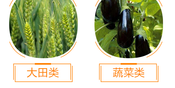 ������������-���r(n��ng)����(y��u)ؐ-���r(n��ng)����_11