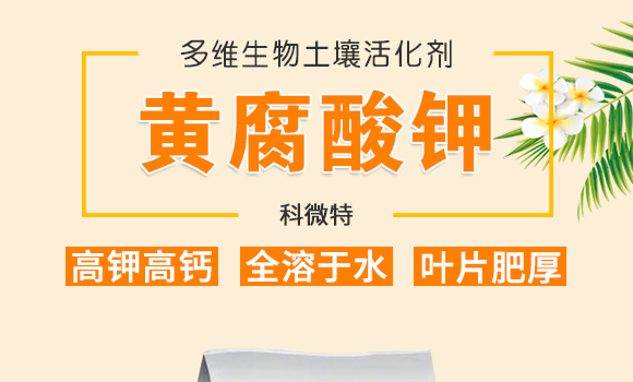 �ڽ�VԴ�S�����-��΢��_01