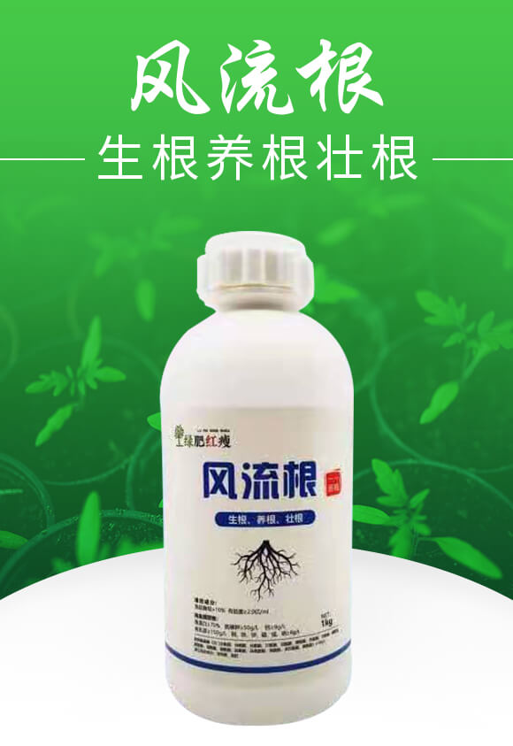 風(fēng)流根(生根養(yǎng)根壯根)-綠肥_01