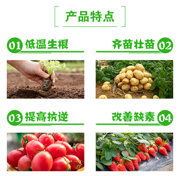 生根型深海魚(yú)蛋白-貝多豐_03