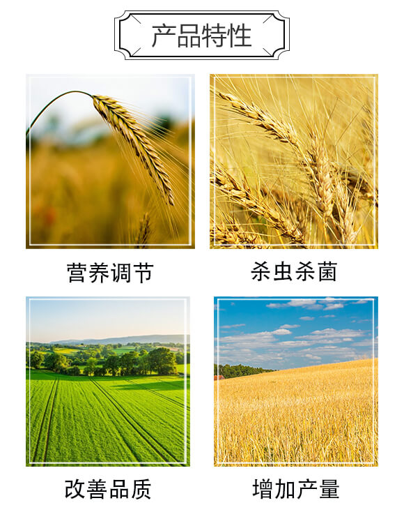 С����������߮a(ch��n)��Q����-�|����-���䌍�I(y��)_03