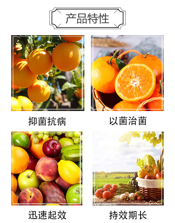 1+1頑固性白粉病專(zhuān)用-白粉衡清-衡多豐_03