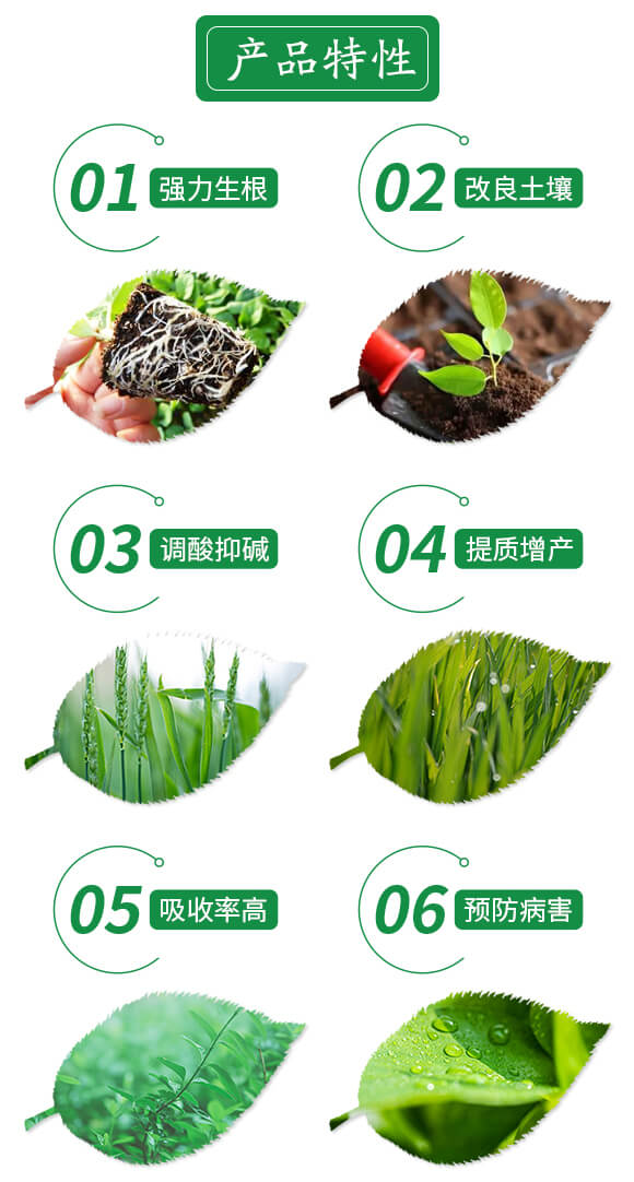 �VԴ�S�����\���-���S��-�������r(n��ng)��_03