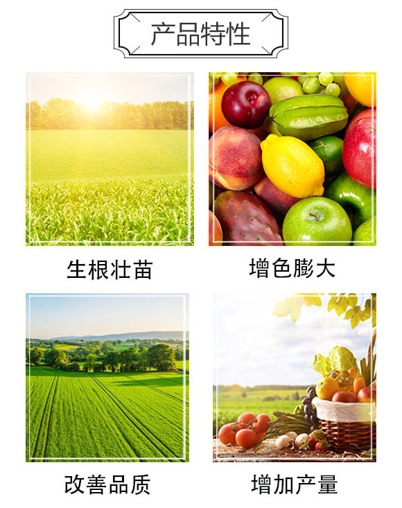 果蔬類經(jīng)濟作物高產(chǎn)專用微生物菌劑-今互農(nóng)_03