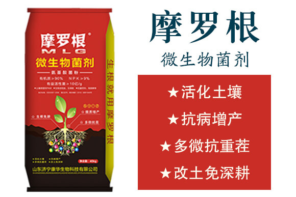 微生物菌劑-摩羅根-康華生物_02