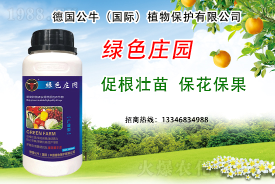 草莓著色不良到底是哪些原因？草莓著色不良又該如何避免？