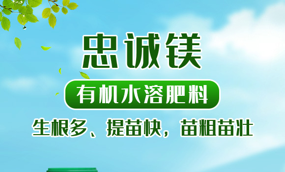 有機(jī)水溶肥料-忠誠鎂-先益農(nóng)_01