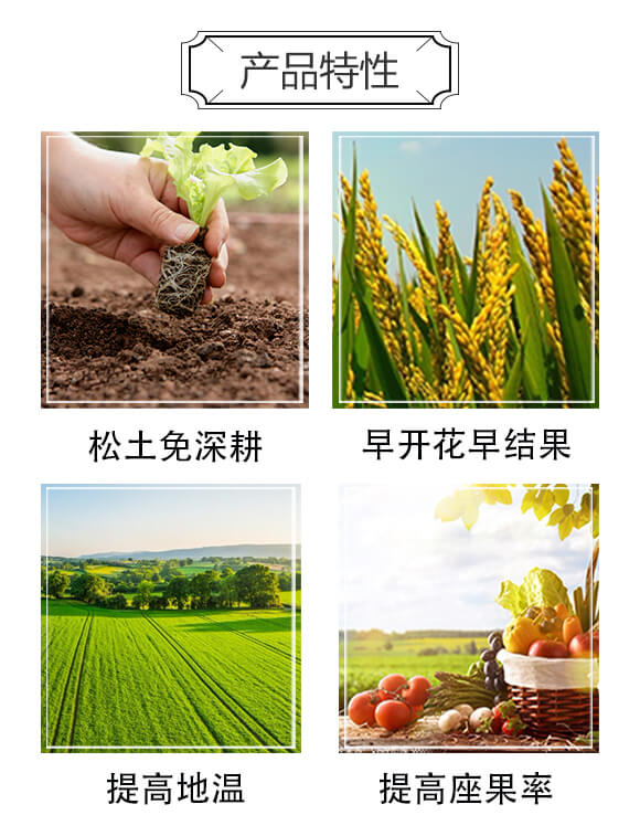 微生物菌劑-掌盾松土根多多-威爾達_03