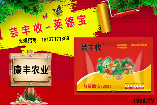 冬季要不要給小麥澆越冬水？小麥冬灌什么時(shí)候合適？