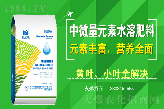 黃花菜該怎么種植？黃花菜種植過程需注意哪些問題？