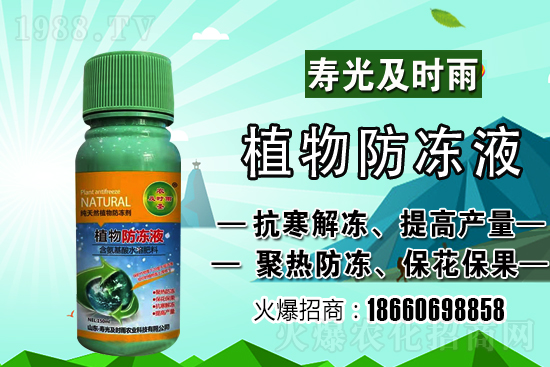 今日小麥價格上漲！到底會漲到多少錢一斤？