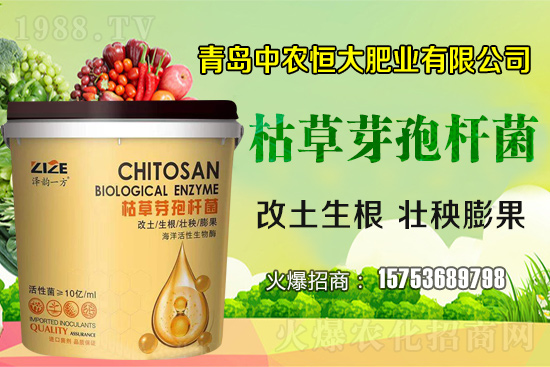 �ݲ�ѿ�ߗU������ǡ����С������ݲ�ѿ�ߗU�����w�������˽�᣿