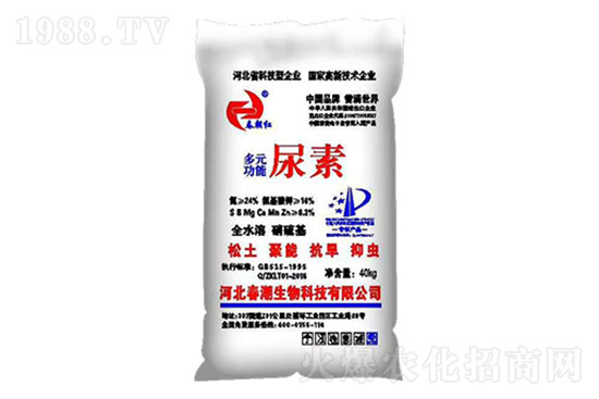 ���؃r���j�q��2021.10.20���؃r������