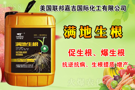 聯(lián)邦嘉吉怎么樣，聯(lián)邦嘉吉有哪些特色？公司暢銷產(chǎn)品有哪些？