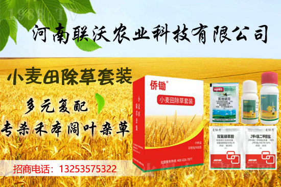 (li��n)���r�I(y��)�m(x��)�s1988.TV���y�ֹ���(chu��ng)���x�ͣ�