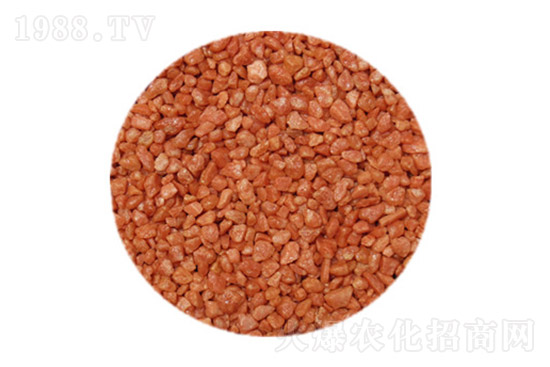 ⛷ʃr(ji��)��߀���ٝq�᣿11��12�ո���⛷ʃr(ji��)��