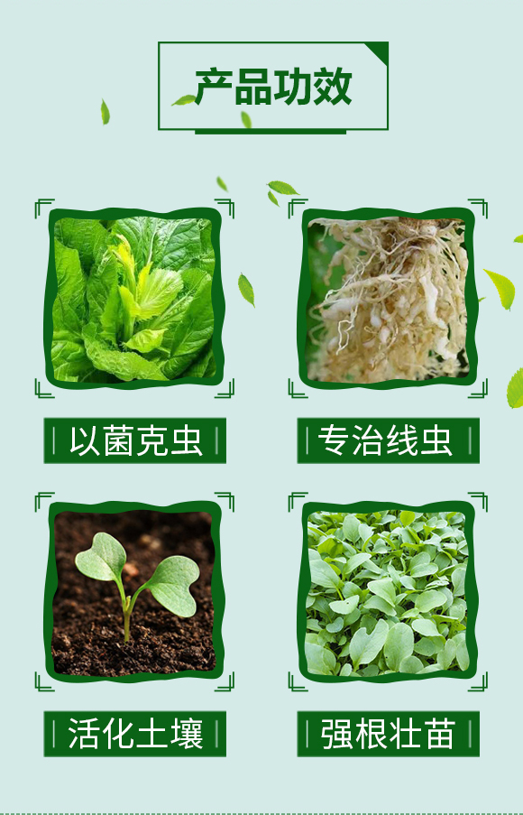 ����(xi��n)�x(ch��ng)һ�_��---���r(n��ng)����_03