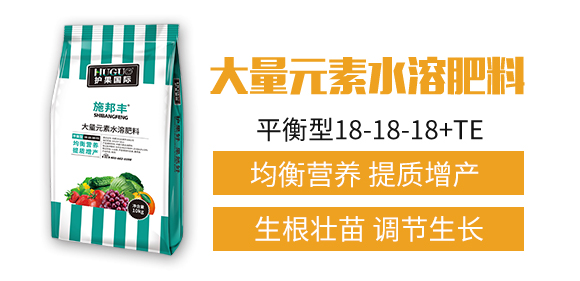 護(hù)果國(guó)際1_02