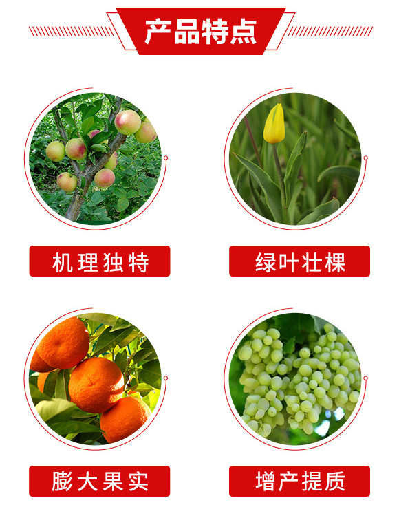 犽滿(mǎn)匠人-加號(hào)農(nóng)業(yè)_03