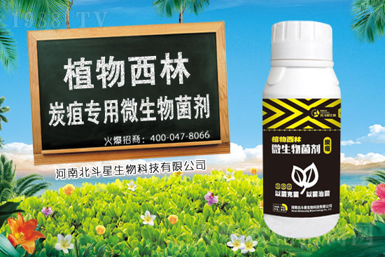 2021年2月3日農(nóng)藥乙蒜素價(jià)格快訊