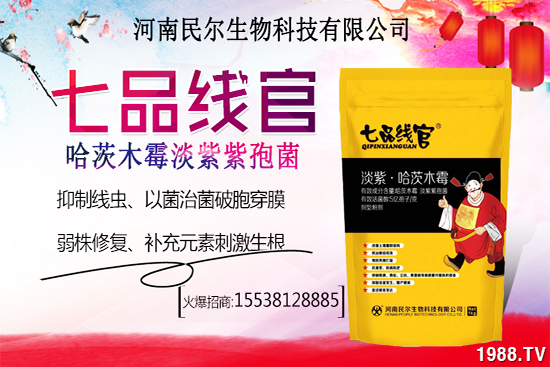 雪桃苗價(jià)格多少錢(qián)一株？雪桃種植前景怎樣？