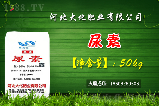 紅香蜜葡萄苗多少錢一棵？種植前景如何？