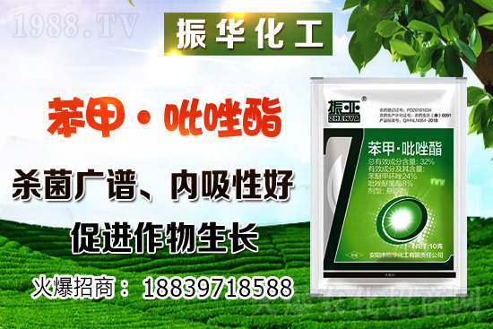 柴胡該怎么種植？柴胡種植方法及環(huán)境要求！