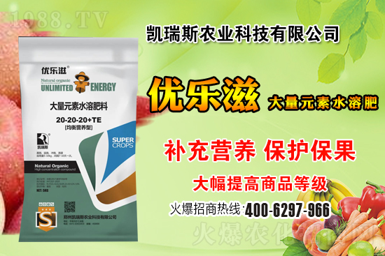 2021年3月11日主產(chǎn)區(qū)小麥價格行情