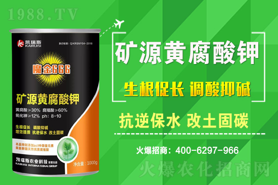 2021��3��11�ջ����r������һ�[