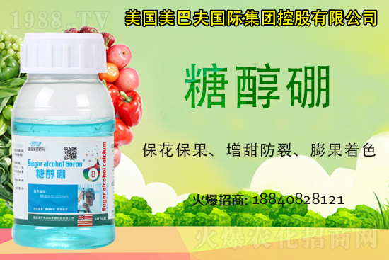 ���յ��ȶ����X(qi��n)һ����2021�굾�ȃr(ji��)���Ƿ�߀��(hu��)�q��