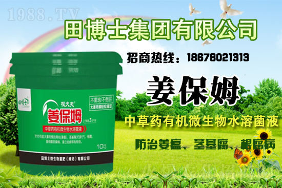 國內部分產區(qū)水稻價格2021年3月19日