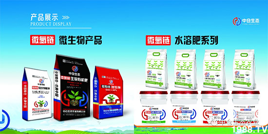 ���˟oζ���ϲ����������㡱�ǻ����ǵĵ���