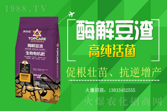 紫蘇種植怎樣管理？紫蘇田間除草及施肥技術(shù)！