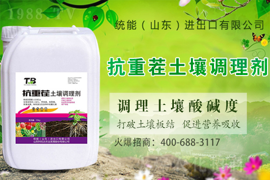 板栗種植怎么選苗子？板栗種植管理要點(diǎn)！
