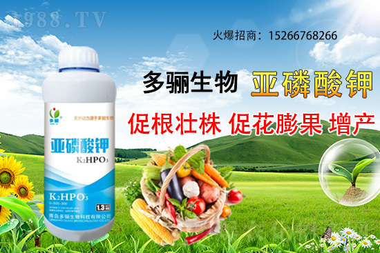 3月份適合種植什么藥材？哪些藥材種植前景好又賺錢