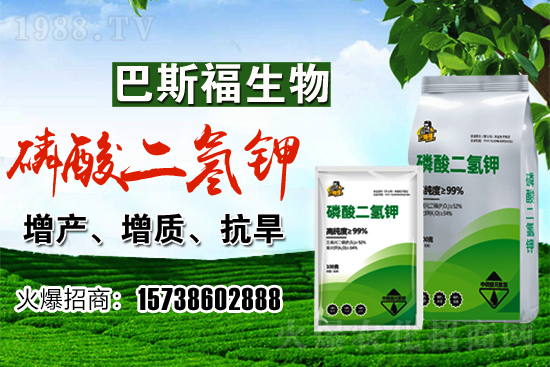 小麥價(jià)格現(xiàn)在多少錢一斤?后期行情走勢(shì)如何?