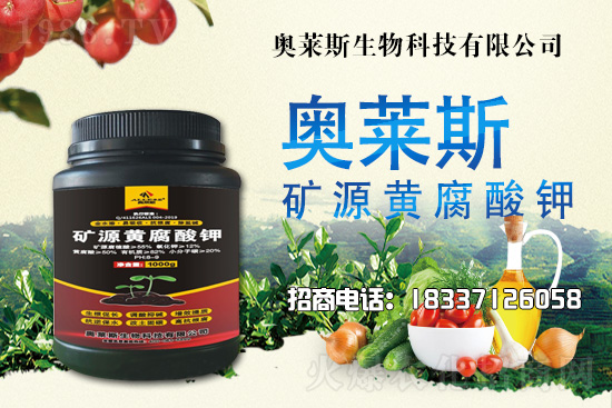 靈芝生產(chǎn)季節(jié)是什么時(shí)候?靈芝熟料段木仿生栽培技術(shù)!