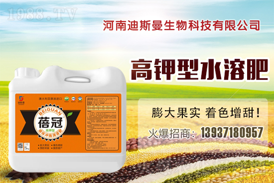 ���ϵ�˹���ٺ�1988.TV���y�ֹ��M(j��n)���T�����x����